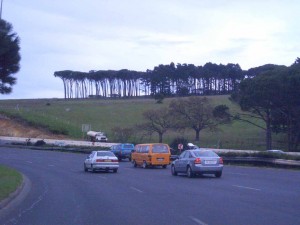 jalan raya dengan latar belakang pepohan khas benua Afrika